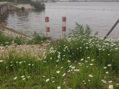 -孔子六艺文化园