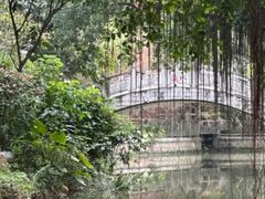 -小洲村