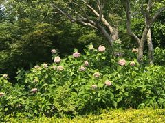 -杭州城北体育公园