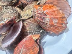 -77号渔船·蒸海鲜青岛菜(积米崖店)