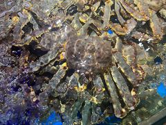 -蟹之国·精品蟹料理(极地店)