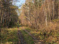 -五营红松林海景区