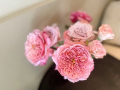 -美丽心情蛋糕(江苏路店)