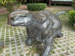 -广东惠东海龟国家级自然保护区