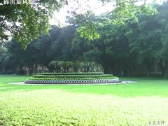 -中山大学学者灵芝(园南路店)