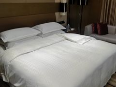 -扬州绿地铂骊酒店