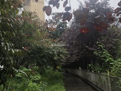-海棠烟雨公园