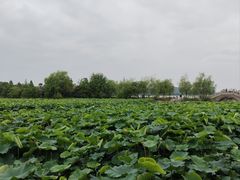 -云龙湖旅游景区