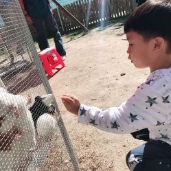 -萌宠亲子动物乐园(槐房万达店)