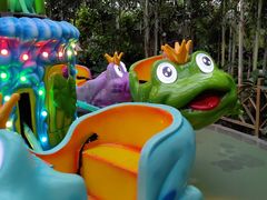 -南宫五洲植物乐园