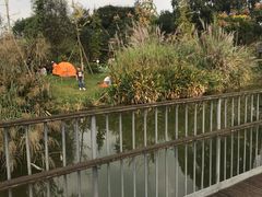 -白鹭湾湿地公园