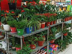 -家乐福会员店(南翔店)
