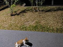 -人民公园(罗湖区)