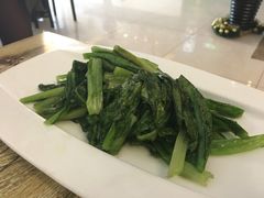 油麦菜-楼兰印象(朝外店)