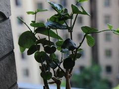 -食肆&Fourteen(武林夜市店)