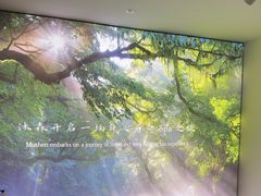 -沐森 •疗愈头疗馆(打浦桥店)