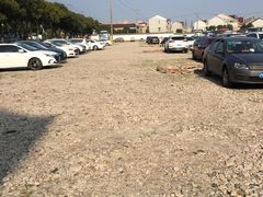 -新场古镇-停车场