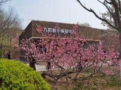 -南翠屏公园