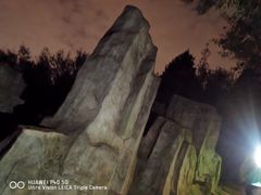 -长虫山生态公园风景林