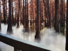 -星湖旅游景区七星岩