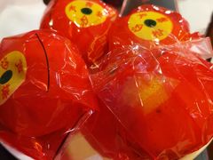 -芦月轩羊蝎子(太平桥店)