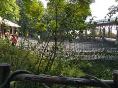 景点-盈香心动乐园