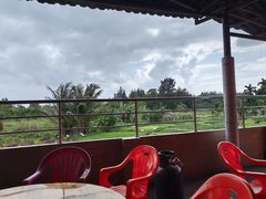 -海恋园海鲜餐馆