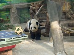 -灵玲国际马戏城