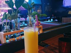 -猫头婴小酒馆FUN OWL(1912店)