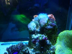 -太平洋海底世界博览馆·展览厅