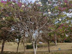 -中国移动南方基地