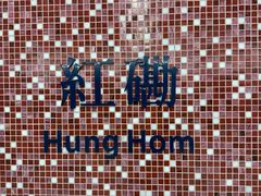 -香港大学
