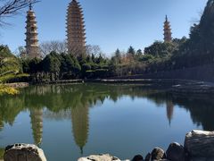 -三塔倒影公园