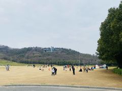 -羊山湖公园