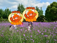 -紫颐香薰山谷景区