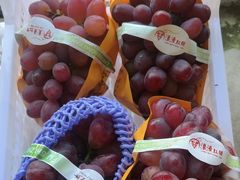 -马陆小张葡萄园农家乐