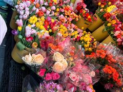 -越秀西湖花市(广州城市广场花卉店)