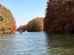 -上海海湾国家森林公园