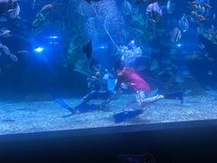 -南昌海洋公园