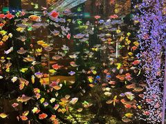 -大江户·温泉洗浴(浑南店)
