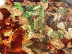 -唐闸邵记鸡煲馆