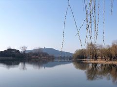 -渤公岛生态公园