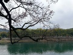 -蒋氏故居