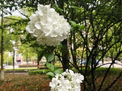 -杭州电子科技大学(下沙校区)