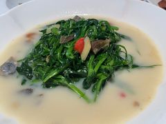 -秀儿四九城·新京菜(亚运村鸟巢店)