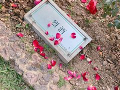 -人民公园(罗湖区)