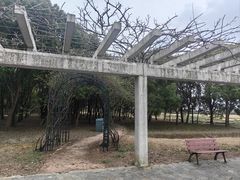-嘉北郊野公园