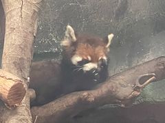 -武汉动物园