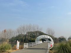 -同里国家湿地公园