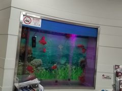 -雅悦齿科(顾村公园店)
